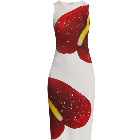 Loewe Anthurium Print Dress (NWT) - Picture 2 of 5
